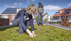 twee mensen staan op een dak met sedum