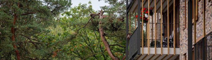 Uitzicht balkon bos