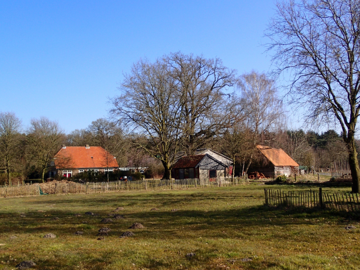 erfdelen op voormalig boerenerf